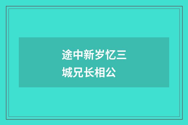 途中新岁忆三城兄长相公