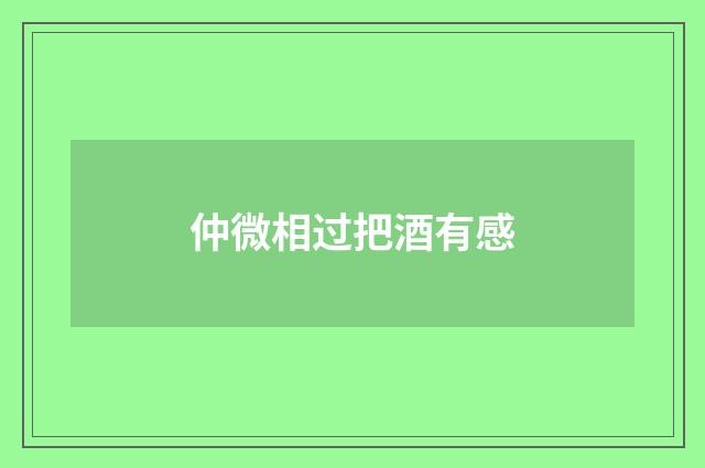 仲微相过把酒有感