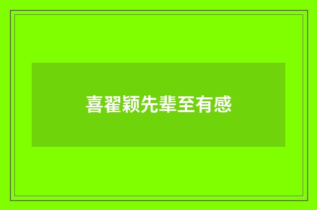 喜翟颖先辈至有感