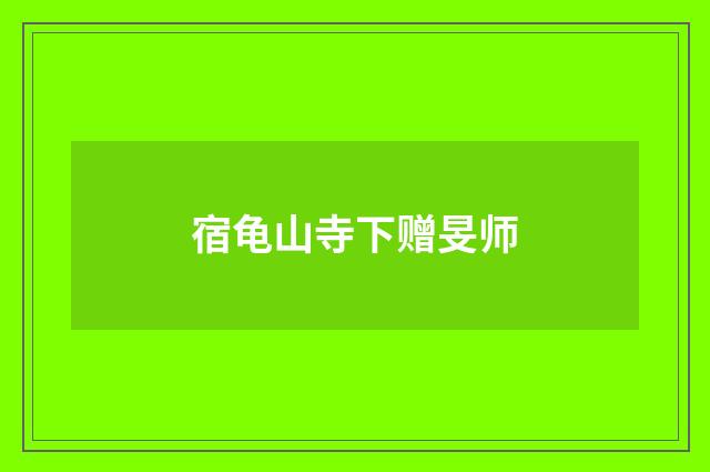 宿龟山寺下赠旻师