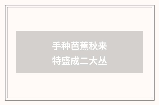 手种芭蕉秋来特盛成二大丛