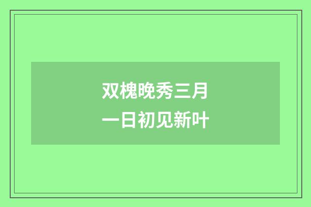 双槐晚秀三月一日初见新叶