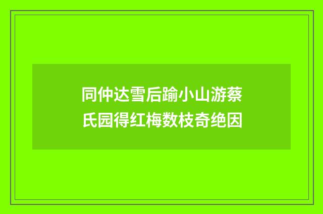 同仲达雪后踰小山游蔡氏园得红梅数枝奇绝因