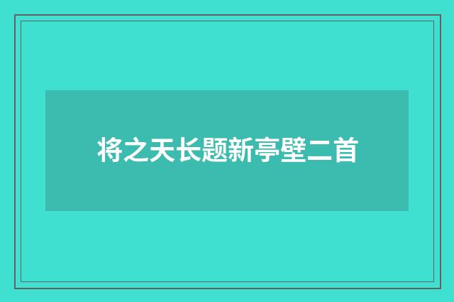 将之天长题新亭壁二首