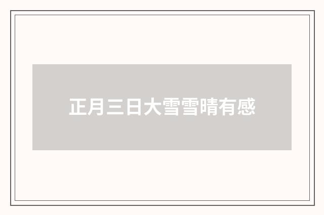 正月三日大雪雪晴有感