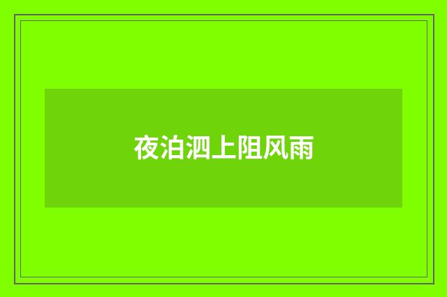 夜泊泗上阻风雨
