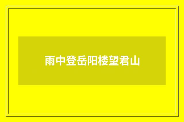 雨中登岳阳楼望君山