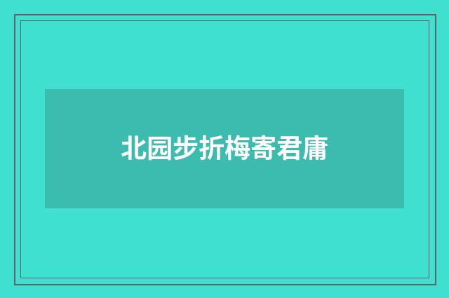 北园步折梅寄君庸