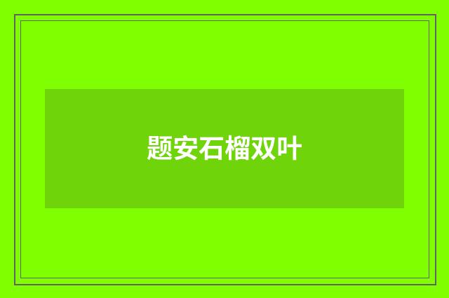 题安石榴双叶