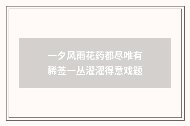 一夕风雨花药都尽唯有豨莶一丛濯濯得意戏题