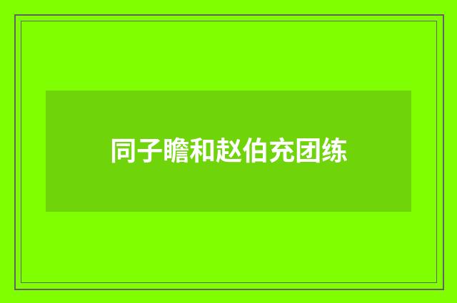同子瞻和赵伯充团练