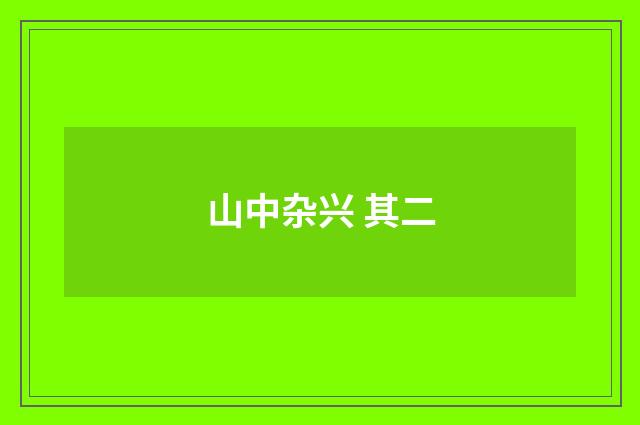 山中杂兴 其二
