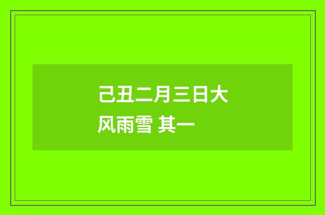 己丑二月三日大风雨雪 其一