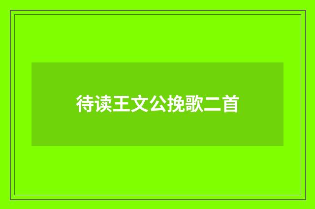 待读王文公挽歌二首