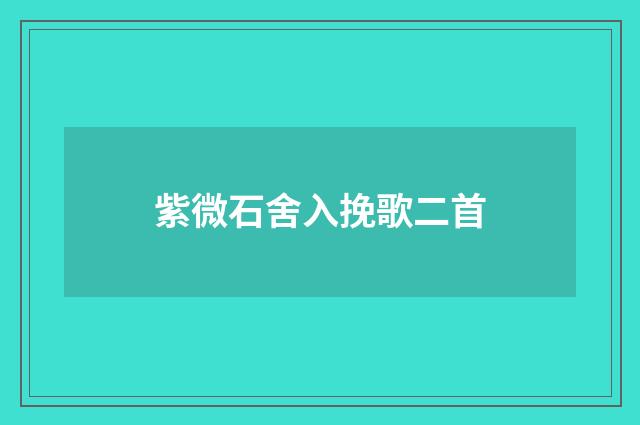紫微石舍入挽歌二首