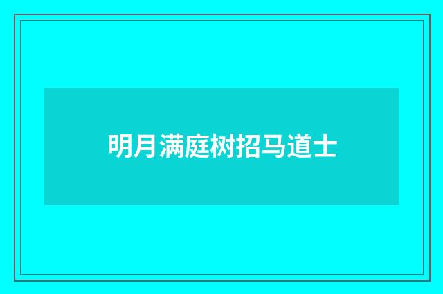 明月满庭树招马道士