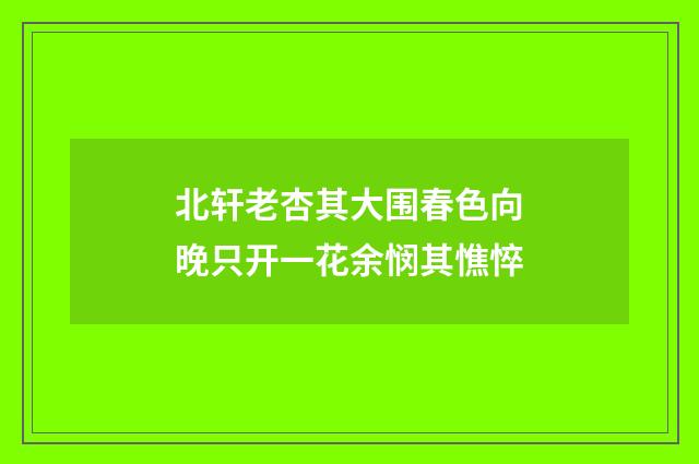 北轩老杏其大围春色向晚只开一花余悯其憔悴