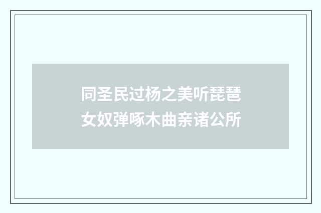 同圣民过杨之美听琵琶女奴弹啄木曲亲诸公所