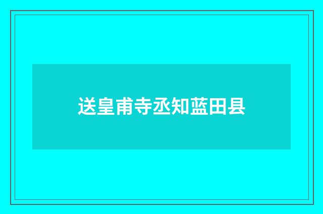 送皇甫寺丞知蓝田县