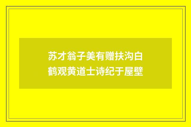 苏才翁子美有赠扶沟白鹤观黄道士诗纪于屋壁