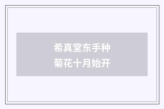 希真堂东手种菊花十月始开