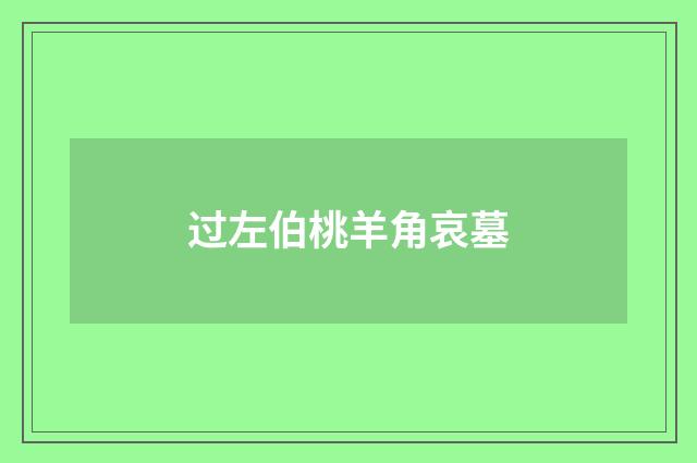 过左伯桃羊角哀墓