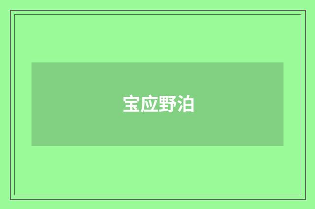 宝应野泊