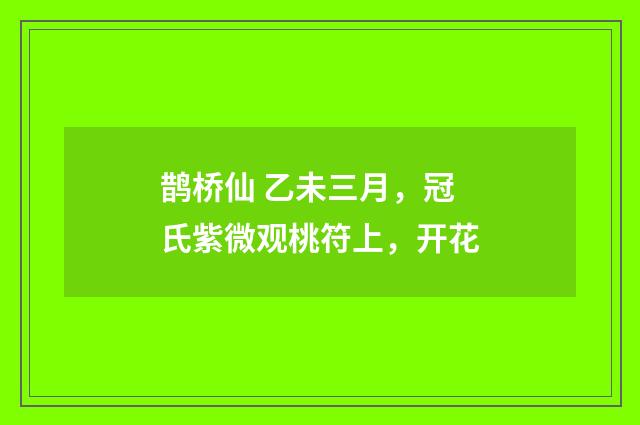 鹊桥仙 乙未三月，冠氏紫微观桃符上，开花