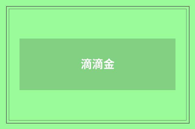 滴滴金