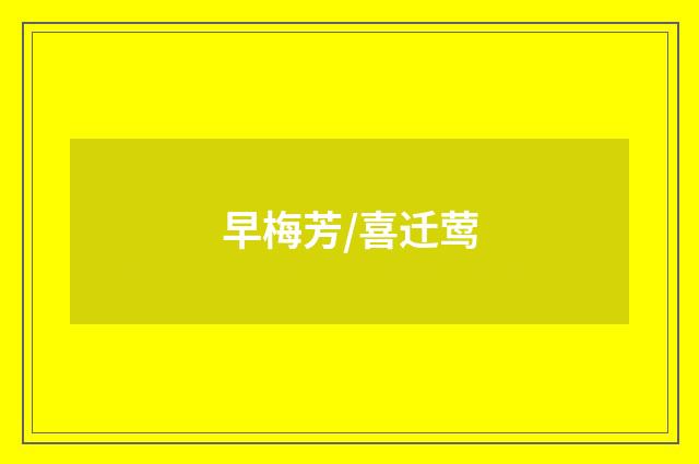 早梅芳/喜迁莺