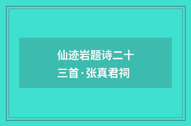 仙迹岩题诗二十三首·张真君祠