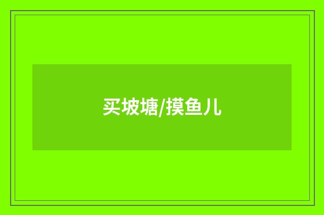 买坡塘/摸鱼儿