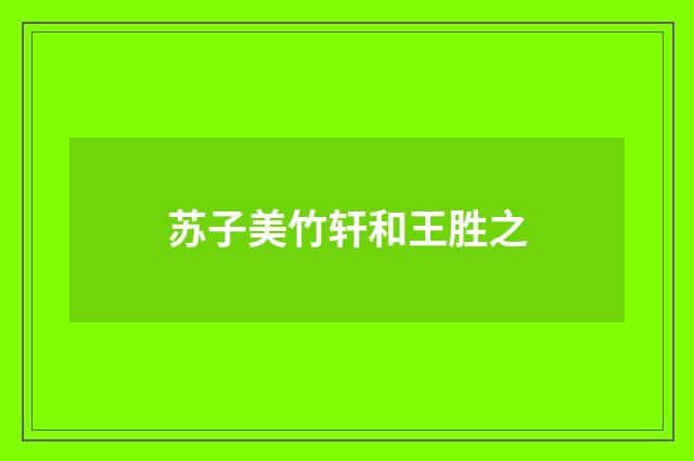 苏子美竹轩和王胜之