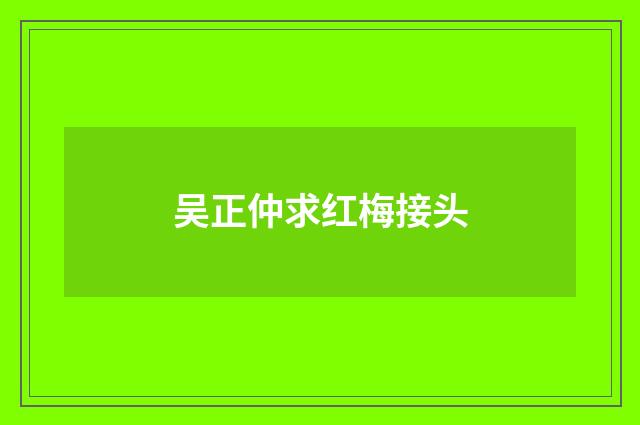 吴正仲求红梅接头