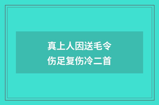 真上人因送毛令伤足复伤冷二首