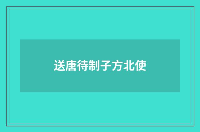 送唐待制子方北使