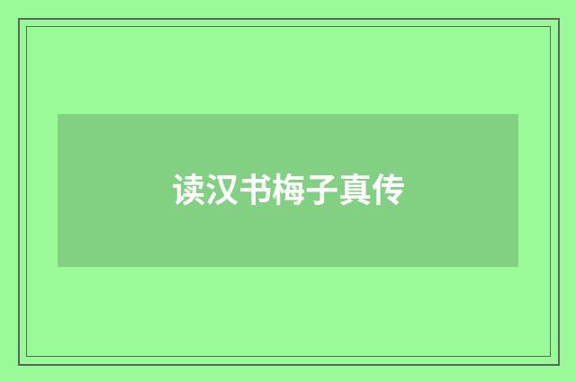 读汉书梅子真传