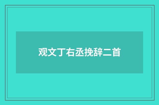 观文丁右丞挽辞二首