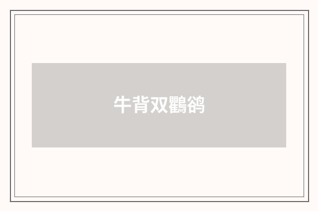 牛背双鸜鹆