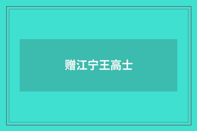 赠江宁王高士