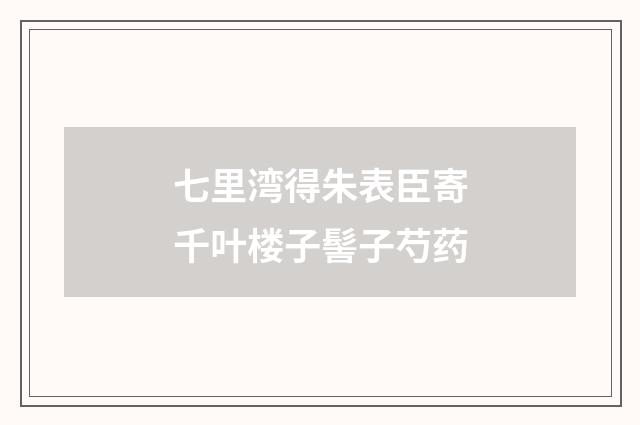 七里湾得朱表臣寄千叶楼子髻子芍药