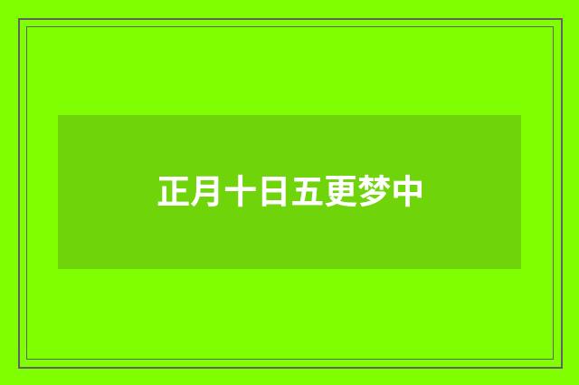 正月十日五更梦中