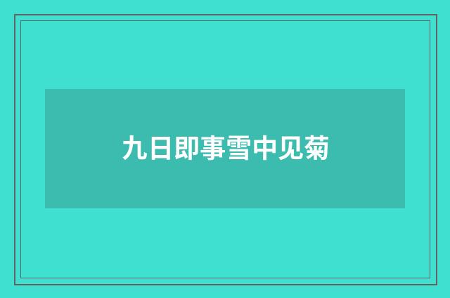 九日即事雪中见菊