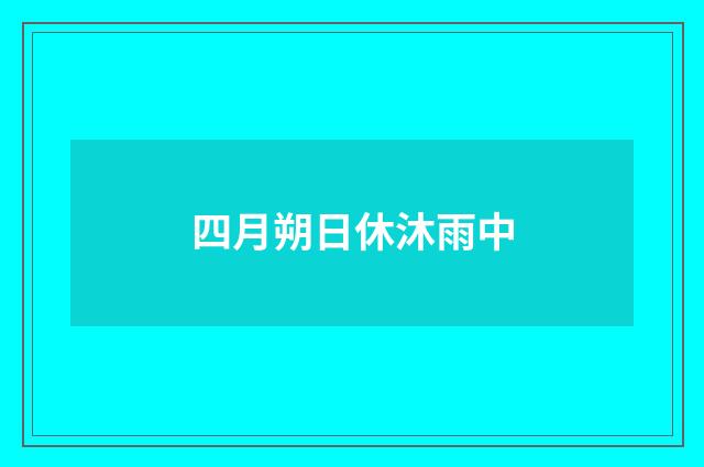 四月朔日休沐雨中
