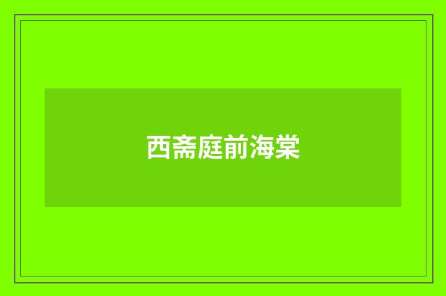 西斋庭前海棠