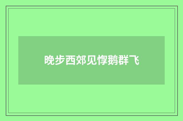 晚步西郊见惸鹅群飞