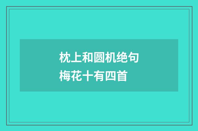 枕上和圆机绝句梅花十有四首