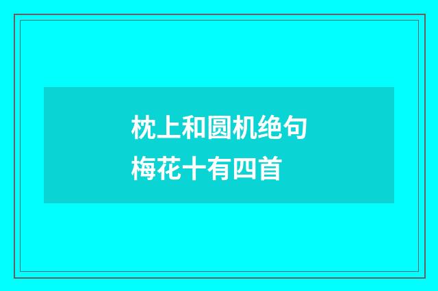 枕上和圆机绝句梅花十有四首