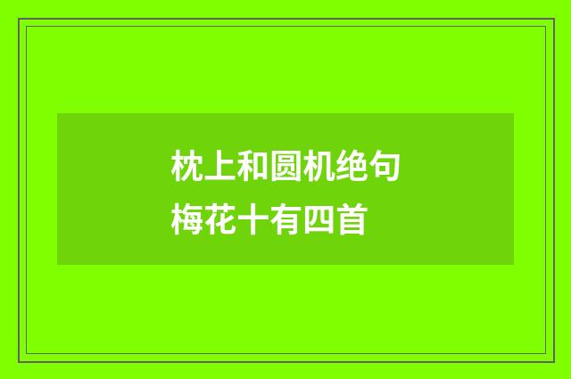 枕上和圆机绝句梅花十有四首