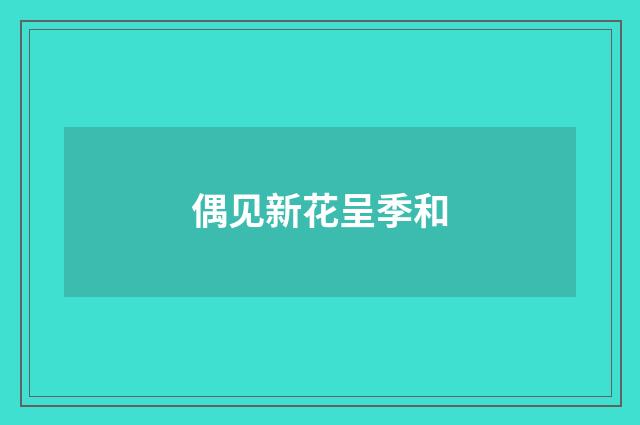 偶见新花呈季和